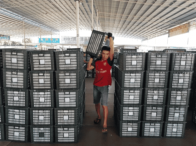 Dịch vụ bốc xếp giá rẻ của Chuyển Nhà 247 vận chuyển tất cả mọi hàng hóa của khách hàng